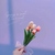 六一节
