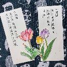 小小数独拿捏