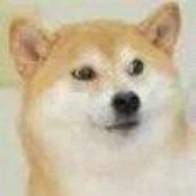 蒙古上单