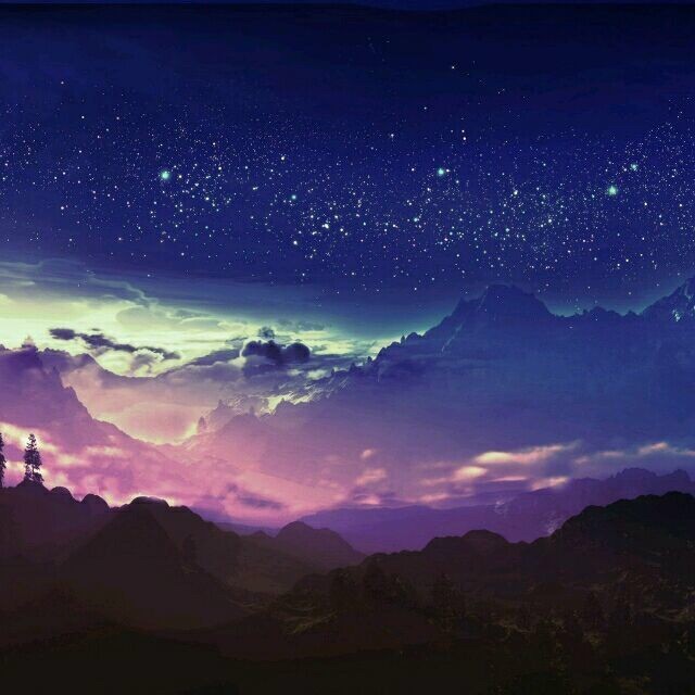 Mr王
