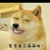 叶子壳儿