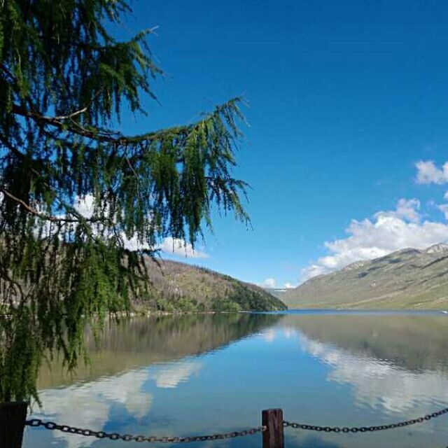 美丽心情（陈）