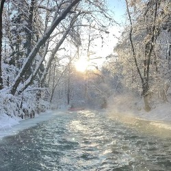 松鹤延年