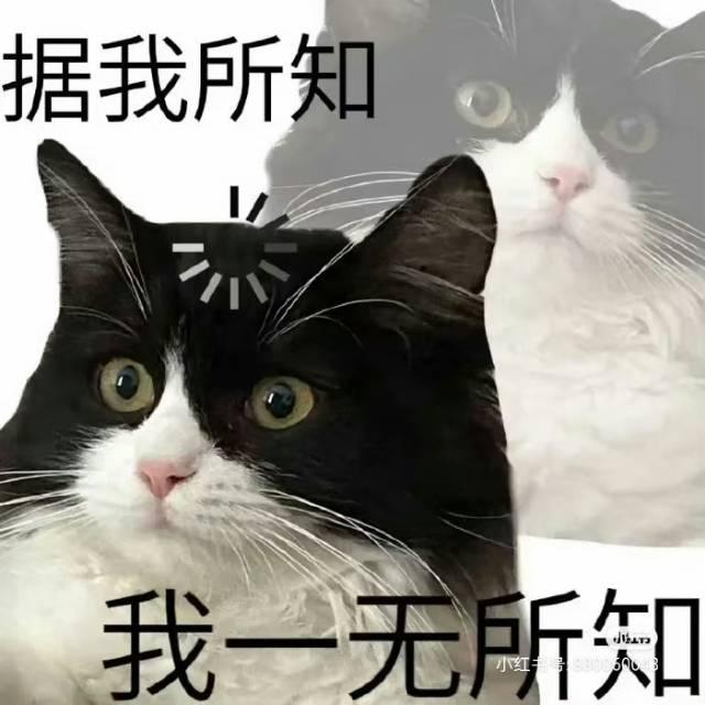 星火燎原