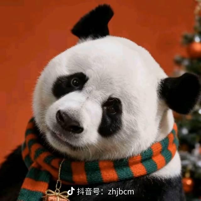雪落眉