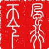 九月鹰飞